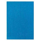 Діловий щоденник у233 1251 (вчітьля) = блакитний