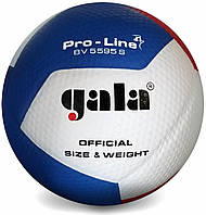 Мяч волейбольный Gala Pro-Line 12 FIVB BV5595S