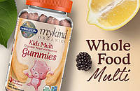 Garden of Life, MyKind Organics, Kids Multi, детские мультивитамины со вкусом органических фруктов, 120 веганс