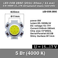 LED COB 2B5C (2011: 20mm / 11 mm) 5 Вт 4000К 15...17В светодиодный модуль round white