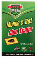 Клеевая ловушка от крыс и мышей зеленая маленькая размер 24*17