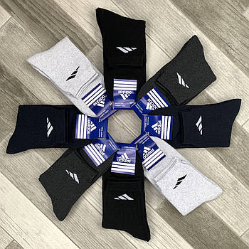 Шкарпетки чоловічі махрові бавовна Adidas, розмір 41-44, асорті, 09906