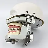 Фантом стоматологічний, фото 5