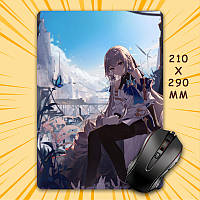 Килимок для мишки Honkai Star Rail 210 х 290 мм 015