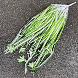 Штучний хлорофітум 60 см, фото 3