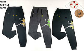 Спортивні штани для хлопчика, Taurus, 134,152 см, No XH-116 152
