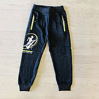 Спортивні теплі штани для хлопчика, Taurus, 98,104,110,128 см,  № XH-110, фото 3