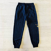 Спортивні теплі штани для хлопчика, Taurus, 98,104,110,128 см,  № XH-110, фото 4