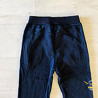 Спортивні теплі штани для хлопчика, Taurus, 98,104,110,128 см,  № XH-110, фото 7