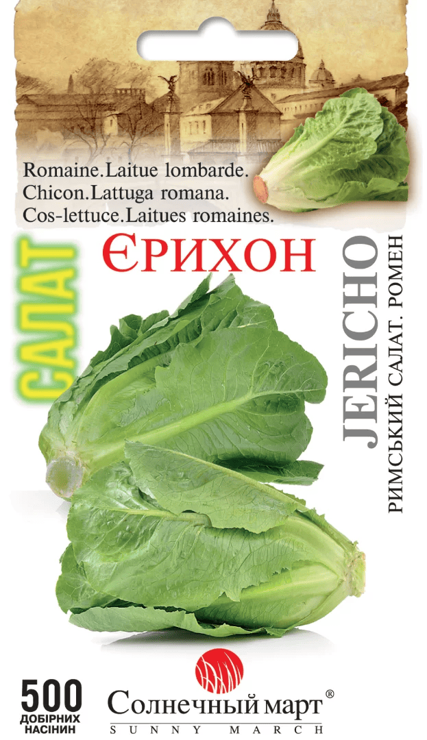Насіння Салат Єріхон 500 шт., СМ