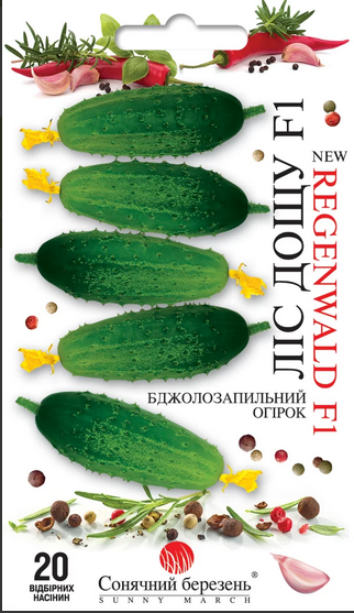 Огірок Ліс Дощу F1 20 шт