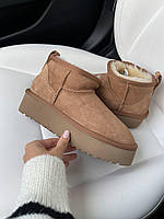 Угги женские Ugg Ultra Mini Platform Chestnut коричневые ультра мини замшевые натуральные на высокой подошве