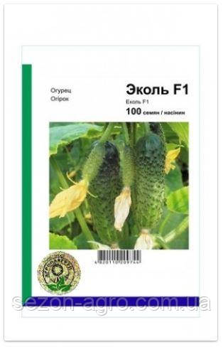 Огірок Еколь F1 100 н. Syngenta