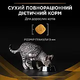 ProPlan Feline NF EARLY CARE для котів сухий корм 350 г (7613287882219), фото 3