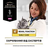 ProPlan Feline NF EARLY CARE для котів сухий корм 350 г (7613287882219), фото 10