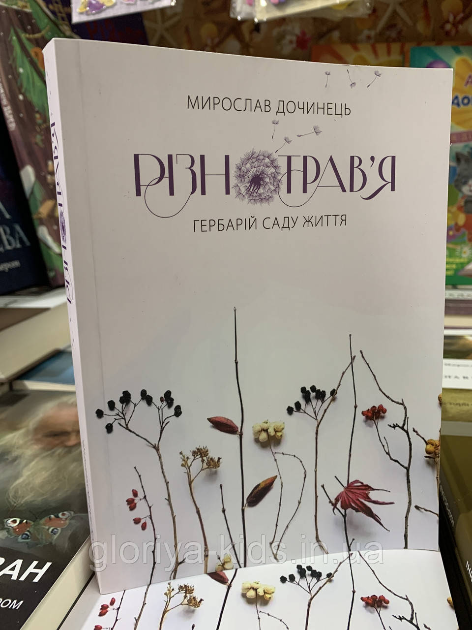 Книга РІЗНОТРАВ'Я. Мирослав Дочинець