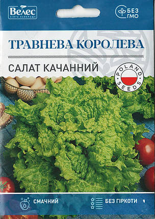 Насіння салату Травнева королева 5г МАКСІ ТМ ВЕЛЕС, фото 1