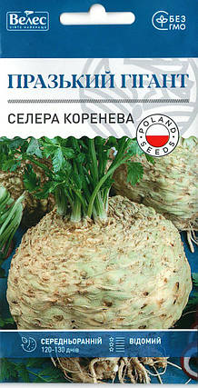 Насіння селери кореневої Празький гігант 0,3 г ТМ ВЕЛЕС, фото 1