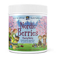 Витамины для детей от 2 лет Nordic Naturals Nordic Berries Multivitamin 120 gummy
