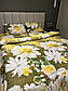Двоспальний комплект (Ранфорс) | Комплект постільної білизни Ромашка | Простирадло 200х220 см, фото 4