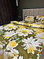 Двоспальний комплект (Ранфорс) | Комплект постільної білизни Ромашка | Простирадло 200х220 см, фото 6
