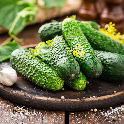 Насіння огірок Три Танкіста 12шт.