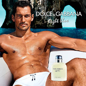 Парфуми Dolce & Gabbana Light Blue Pour Homme чоловіча туалетна вода 125 мл, фото 4