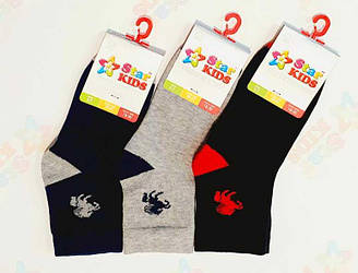 Шкарпетки дитячі д/с, з малюнком, SK (розмір 22-24)
