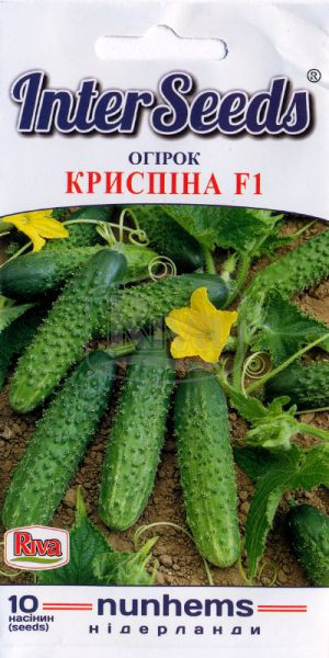 Огірок Криспіна F1 ранній 10 шт, InterSeeds, фото 1