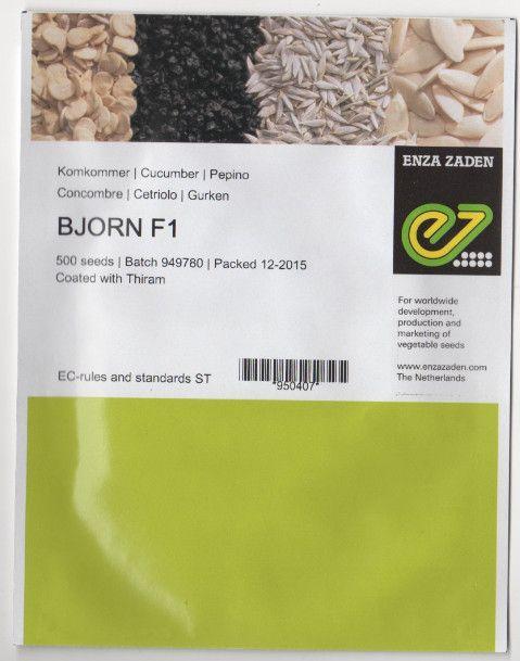 Насіння огірка Бйорн F1, 500 насінин — ультраранній гібрид (40-45 днів), партенокарпик. Enza Zaden