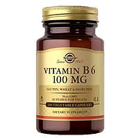 Вітамін В6, Vitamin B6, Solgar, 100 мг, 100 вегетаріанських капсул (SOL-03110)