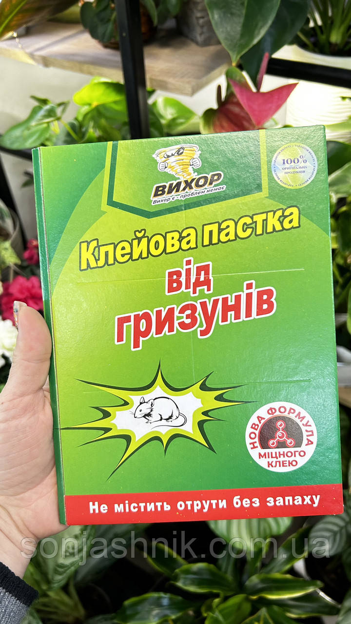 Клійова пастка від пацюків 17*24,5 см