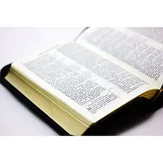 Укр. Біблія Сучасний переклад Турконяк Друге видання середнього формату (чорна, текстура, шкіра, блискавка, без вказівників,15х20), фото 3