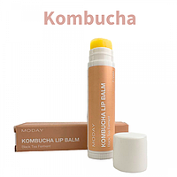 Натуральний бальзам для губ MODAY Kombucha LIP BALM на основі ферментованого чорного чаю та бджолиного воску