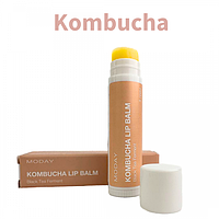Натуральный бальзам для губ MODAY Kombucha LIP BALM на основе ферментированного черного чая и пчелиного воска