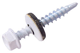 Саморіз покрівельний Apro 4.8 x 35 мм RAL 9003 (50 шт.)