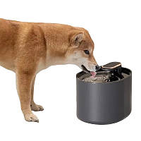 Поилка-фонтан для животных Pet Water Fountain автоматическая USB 3L Black (3_03592)