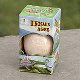 Яйце динозавра — набір для розкопок, фото 2