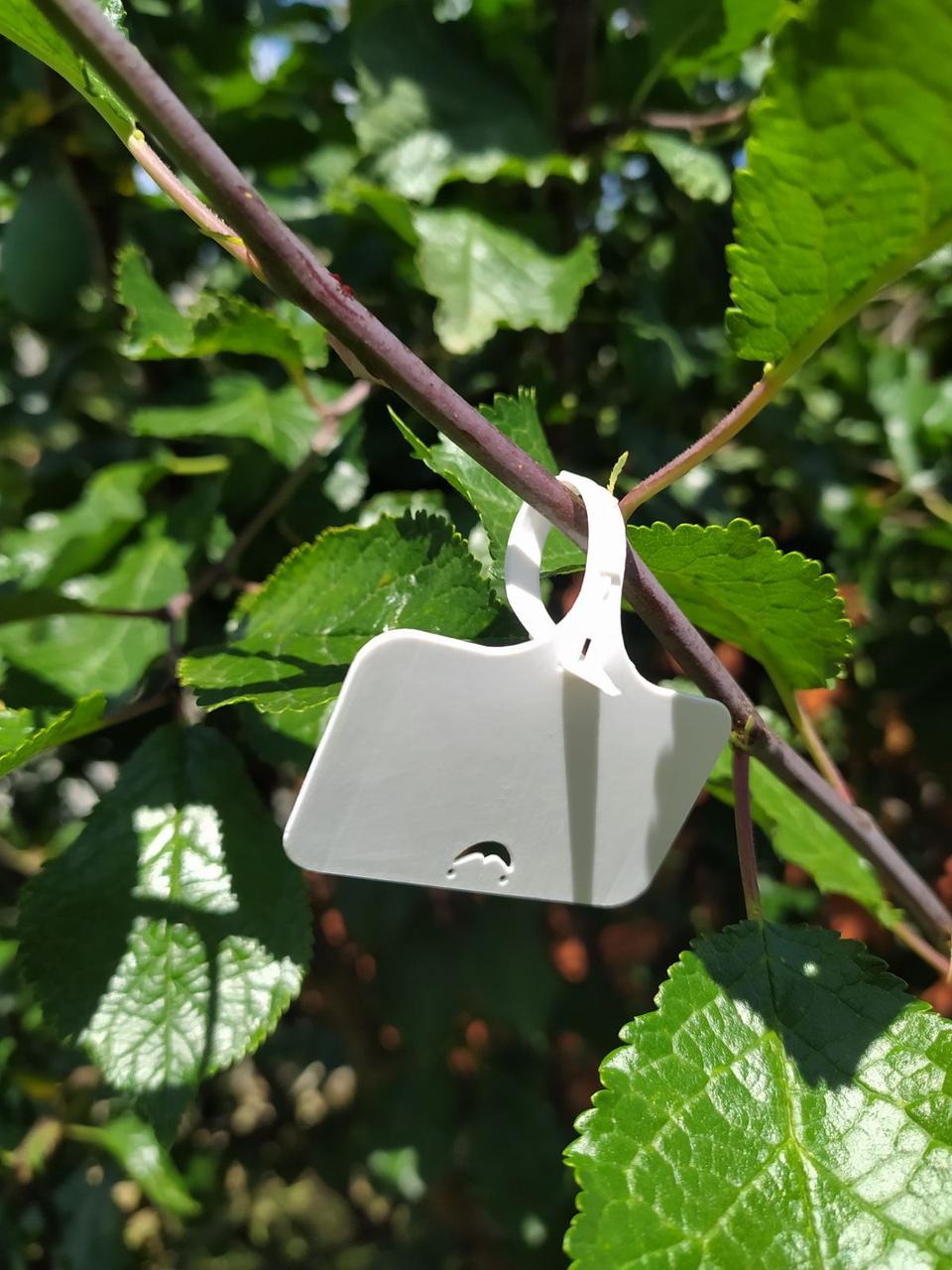 Табличка-Бірка Садова (біла) / 10 шт 7×5×3 см, фото 1