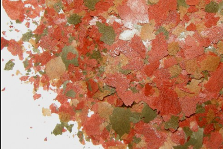 Корм Dajana Color Flakes 500мл. Пластівці корм для всіх видів акваріумних риб, фото 2