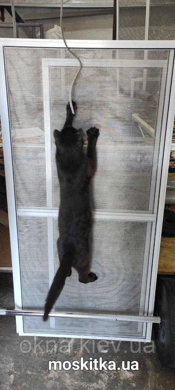 Москітна сітка Антикішка Київ.