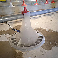 Мотор-редуктор 0.55 кВт із контрольною годівницею BEST і датчиком з LED-підсвіткою для лінії годування бройлерів, фото 3