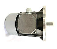 Мотор для лінії годування птиці 0.55 кВт обладнання для птахофабрик, фото 2