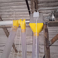 Мотор редуктор роздачі корму 1,1 кВт ROXELL автоматичне годування птиці, обладнання для пташників, фото 5