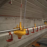 Профіль круглий діаметр 27 мм до лінії поїння, 3 м довжина, фото 4