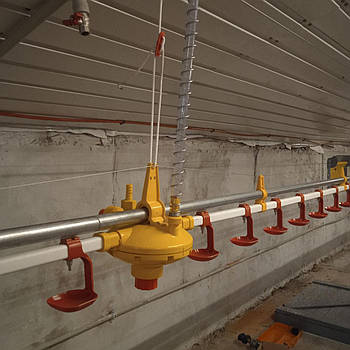 Регулятор тиску води, редуктор на лінію поїння для індичок Lubing, автоматичне поїння для птиці