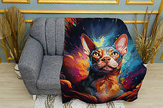 Плед «Кіт сфінкс в кольорах»