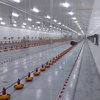 Освітлення птахофабрик LED лампа 1200 мм, (IP65) 18W, 230V, 3600 К