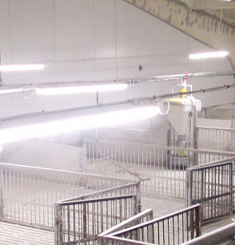 Освітлення свиноферм LED лампа 1200 мм, (IP65) 18W, 230V, 3600 К