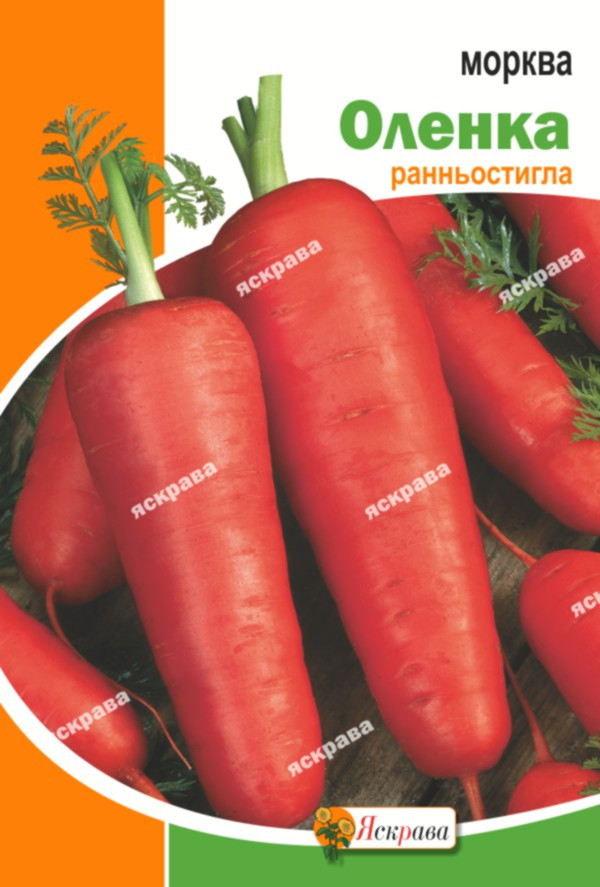 Морква Оленка 20 г (насіння ранньої моркви)